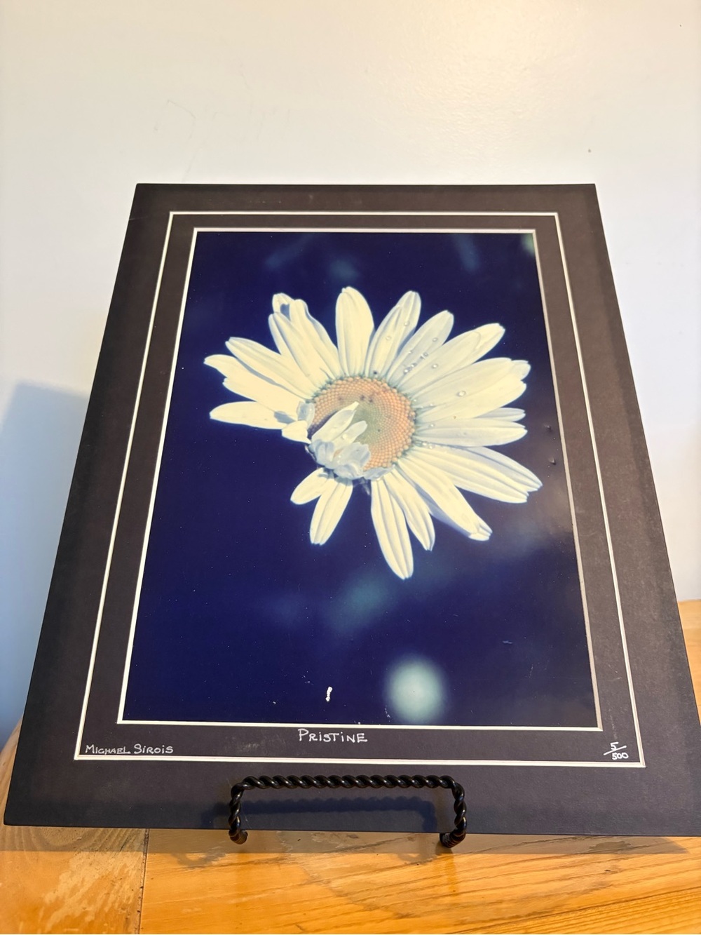 Pristine White Daisy Art Print - Michael Sirois 5/500